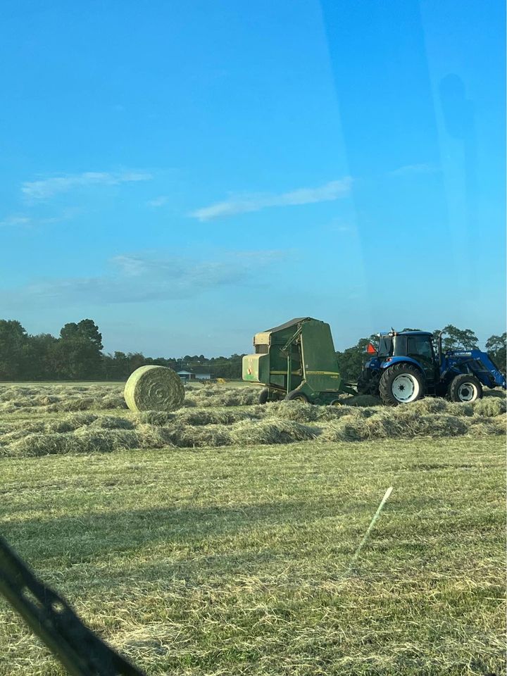 Bermuda Mixed Hay